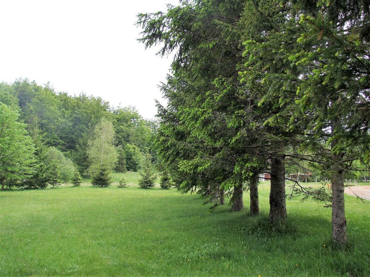 Matanovi Dvori Holiday home *
