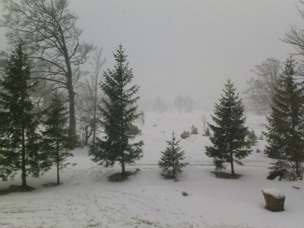 Holiday home Matanovi Dvori *